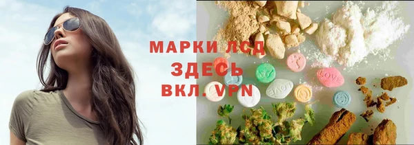 СК Алексин