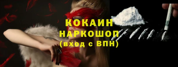 СК Алексин