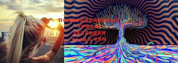 СК Алексин