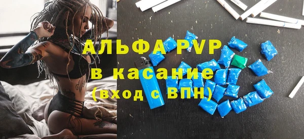 СК Алексин