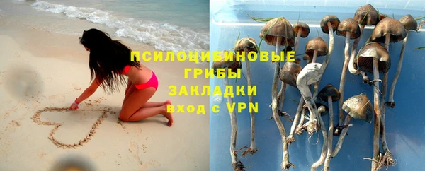 твердый Няндома